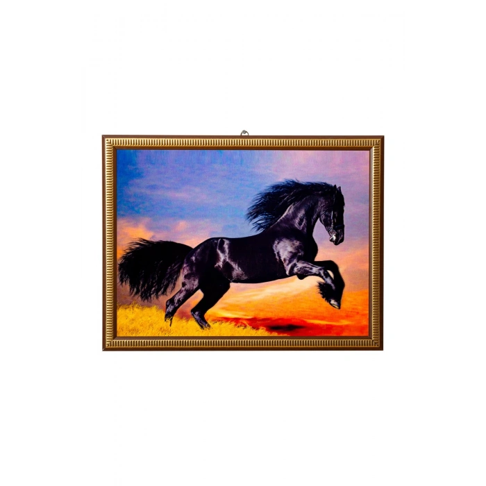 5d recine elmas boyama 180° hareketli saha kalkan at cerceveli tablo resim