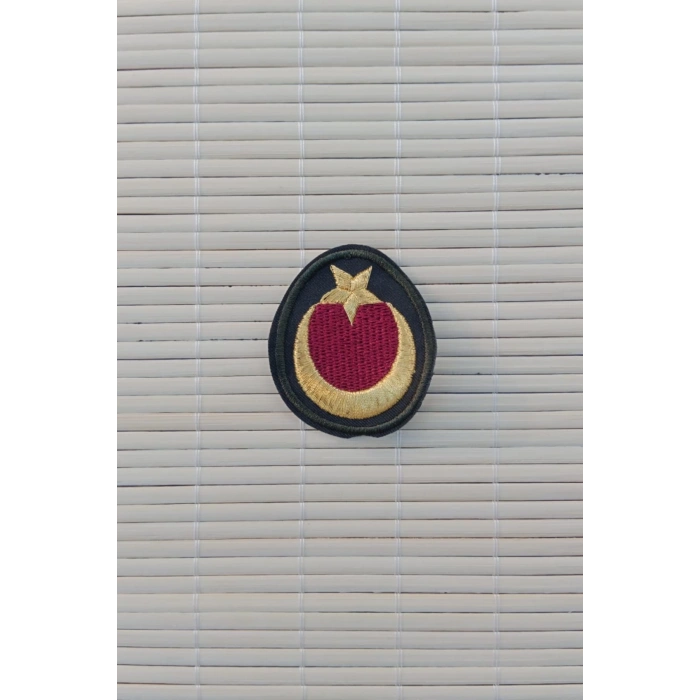 Kara Kuvvetleri Saglik Astsubay ​​​​​​​​​​​​Nakis islemeli Bere Kokarti