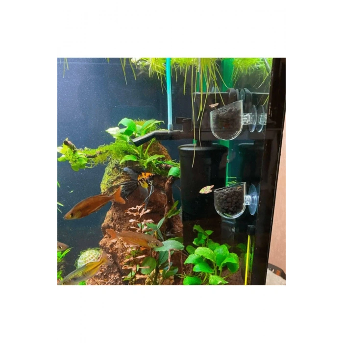 Akvaryum Dekorasyon Bitki Yetistirme ve Yemleme icin Mini Vantuzlu Akrilik Saksi