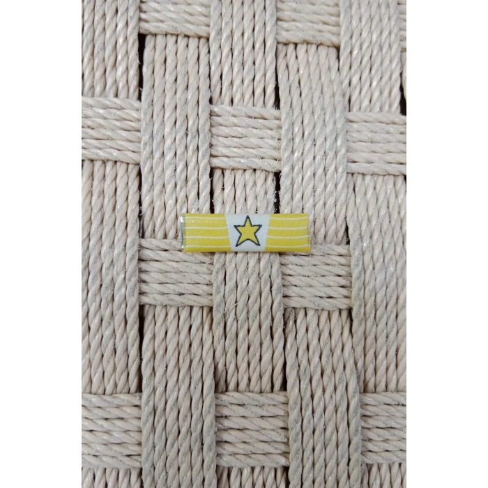 Astsubayliktan Subayliga Gecis Serit Rozeti