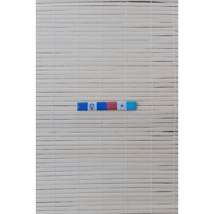 hava kuvvetleri astsubay meslek yuksekokulu mezuniyeti ve yurtici ogrenim basari serit rozeti