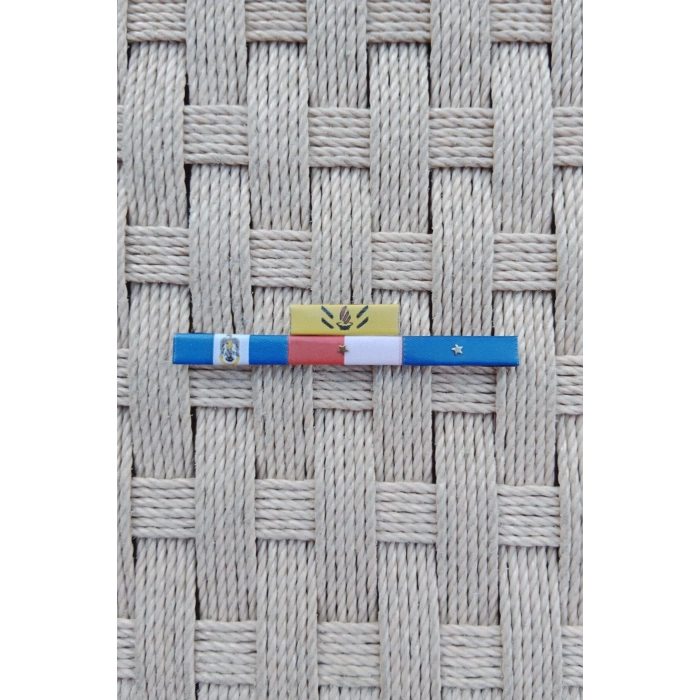 hava kuvvetleri astsubay mezuniyet ic guvenlik yurtdisi gecici gorev master serit rozeti