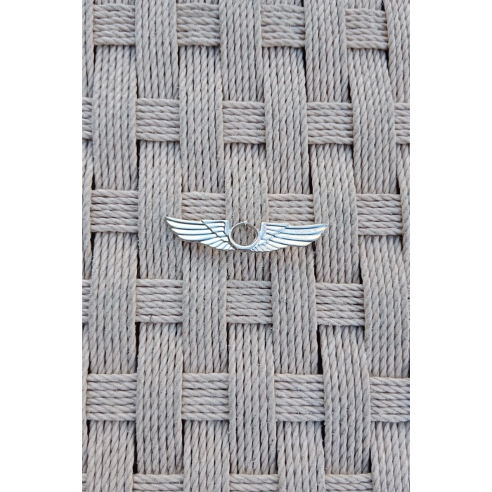 hava kuvvetleri hava pilot metal gogus brovesi