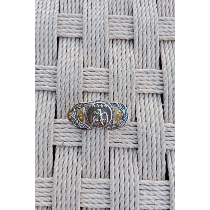 hava kuvvetleri piyade guvenlik metal gogus brovesi