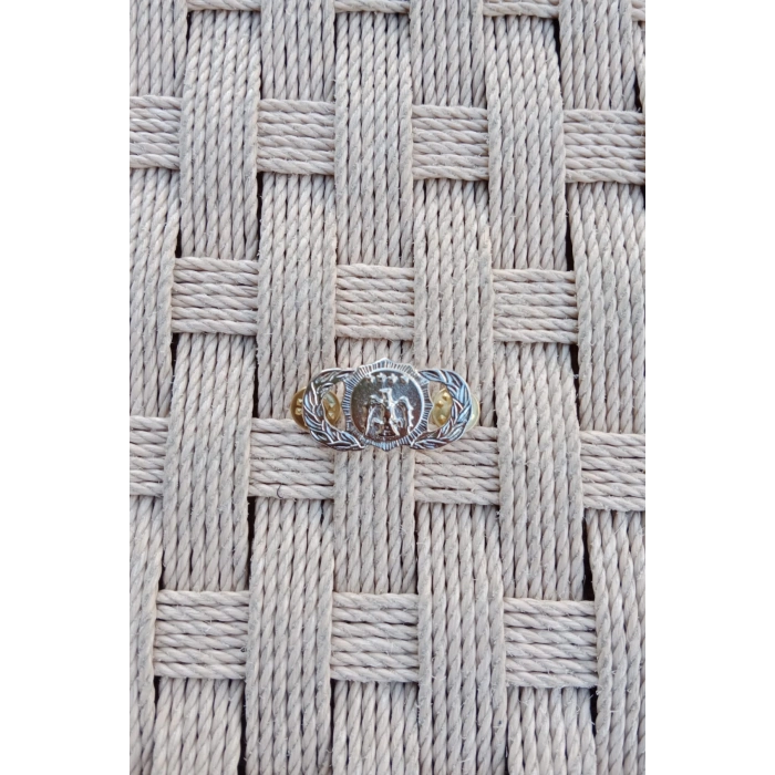 hava kuvvetleri piyade guvenlik metal gogus brovesi