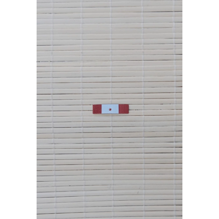 Hizmet Serit Rozetleri Terorle Mucadele 1 Yildiz Hizmet Serit Rozeti