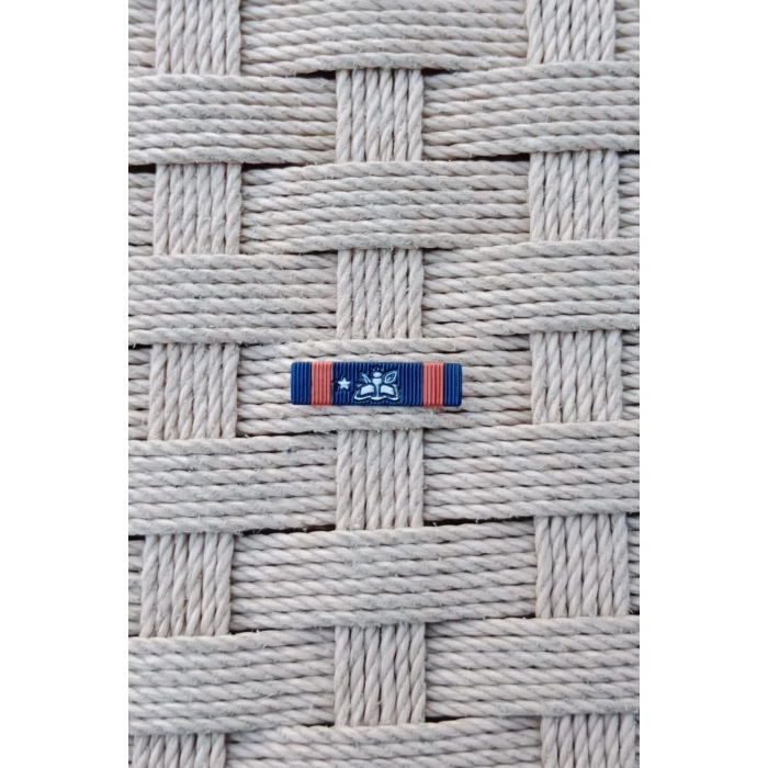 Jandarma idari Hizmet Basari Serit Rozeti