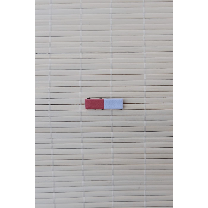 Terorizmle Mucadele ic Guvenlik 1 Yildiz Serit Rozet