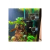 Akvaryum Dekorasyon Bitki Yetistirme ve Yemleme icin Mini Vantuzlu Akrilik Saksi