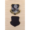 F 4E 2020 Yazili Ucak ve Kaplan Logolu Siyah Zemin Nakis islemeli Arma Patch Pec