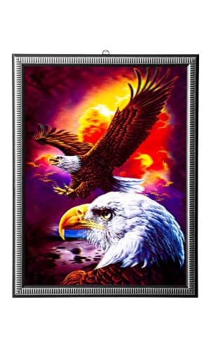 5d recine elmas boyama 180° hareketli 2 li kartallar cerceveli tablo resim