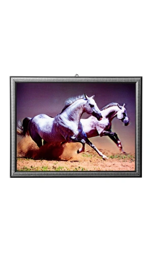 5d recine elmas boyama 180° hareketli 2 li kosan atlar cerceveli tablo resim