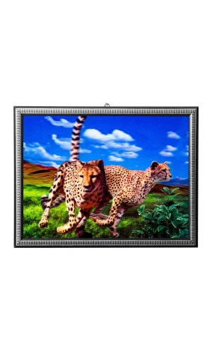 5d recine elmas boyama 180° hareketli 2 li kosan citalar cerceveli tablo resim