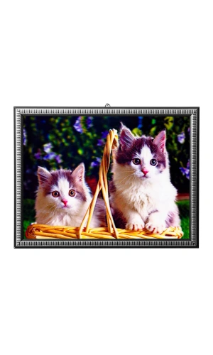 5d recine elmas boyama 180° hareketli 2 li sirin yavru kediler cerceveli tablo resim