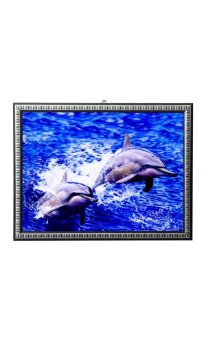 5d recine elmas boyama 180° hareketli 2li sevimli yunuslar dolphin cerceveli tablo resim