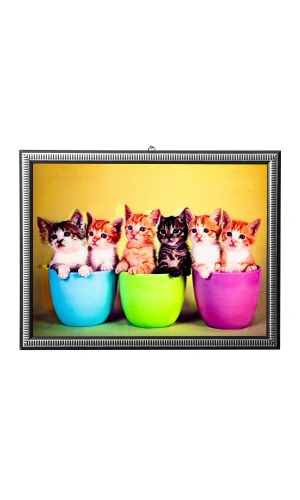 5d recine elmas boyama 180° hareketli 6 li sevimli kediler cerceveli tablo resim