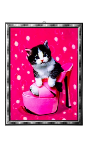 5d recine elmas boyama 180° hareketli ayakkabidaki yavru kedi cerceveli tablo resim