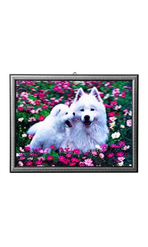 5d recine elmas boyama 180° hareketli beyaz yavru kurt ve annesi cerceveli tablo resim