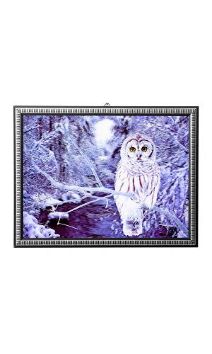 5d recine elmas boyama 180° hareketli kar baykusu puhu cerceveli tablo resim