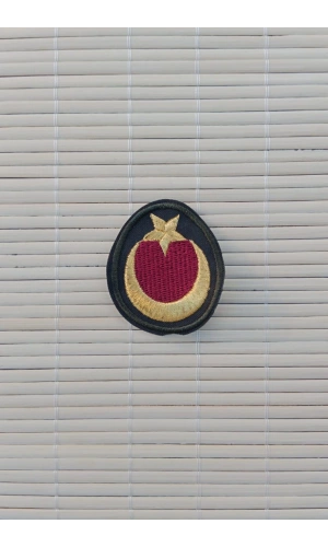 Kara Kuvvetleri Saglik Astsubay ​​​​​​​​​​​​Nakis islemeli Bere Kokarti