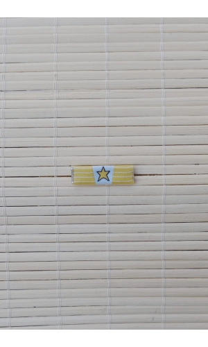 Astsubayliktan Subayliga Gecis Serit Rozeti