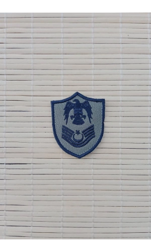 Hava Kuvvetleri Astsubay Kidemli Ustcavus Gri Zemin Kartal Nakisli Mini Tisort Rutbe