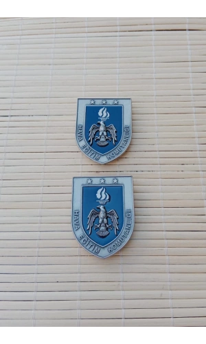 hava kuvvetleri hava egitim komutanligi 1 nolu harici metal gogus brovesi bayan rozet
