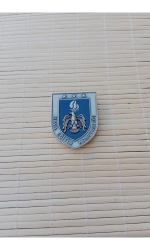 hava kuvvetleri hava egitim komutanligi 1 nolu harici metal gogus brovesi bayan rozeti