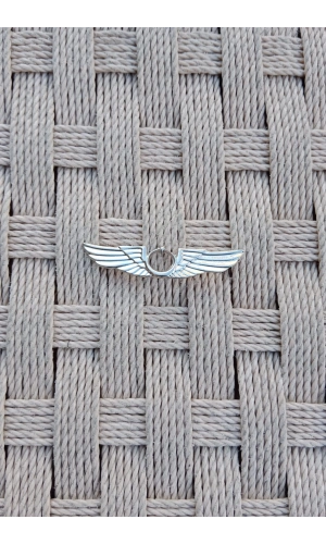 hava kuvvetleri hava pilot metal gogus brovesi