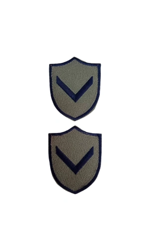 Hava Kuvvetleri Onbasi Gri Zemin Mini Tisort Rutbesi