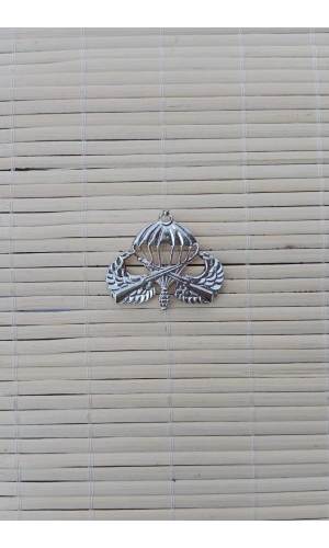 hava kuvvetleri statik parasut metal brovesi