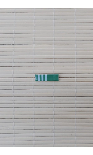 idari Lojistik Serit Rozeti