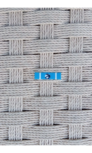 jandarma yurt disi gorev serit rozeti