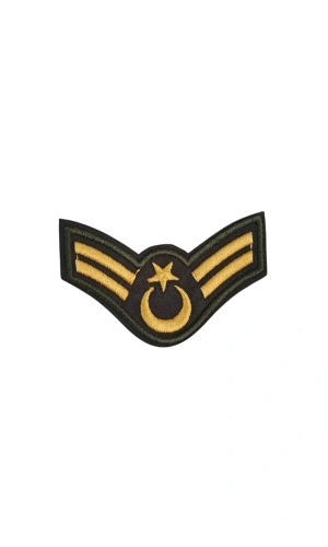 Kara Kuvvetleri Astsubay Cavus Dahili ve Harici Haki Bez Nakis Kol Rutbe