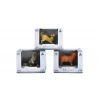 FİGÜR KEDİ SERİSİ