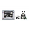PANDA AİLESİ