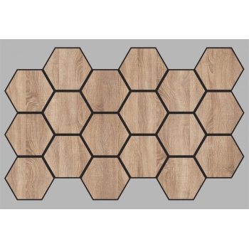 HEXAGON 6