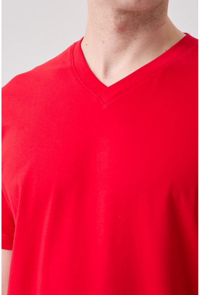 Galanthus V Neck T-Shirt - Breathable, Comfortable, and Stylish Design