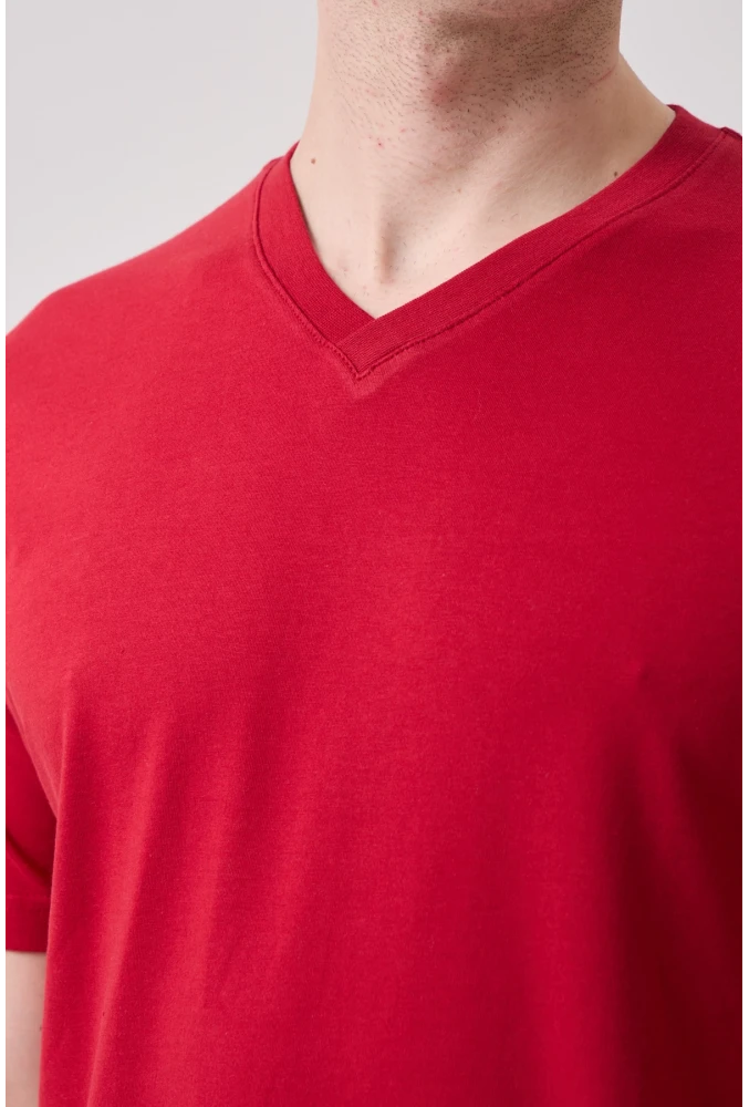 Galanthus V Neck T-Shirt - Breathable, Comfortable, and Stylish Design