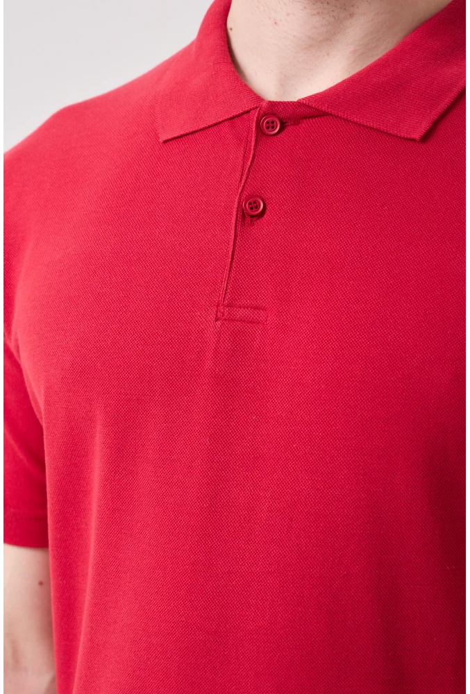 Galanthus Polo Collar T-Shirt - Cotton, Breathable, Classic and Stylish Design