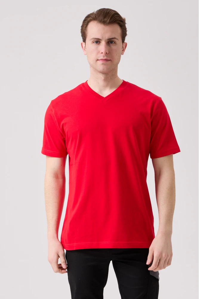 Galanthus V Neck T-Shirt - Breathable, Comfortable, and Stylish Design
