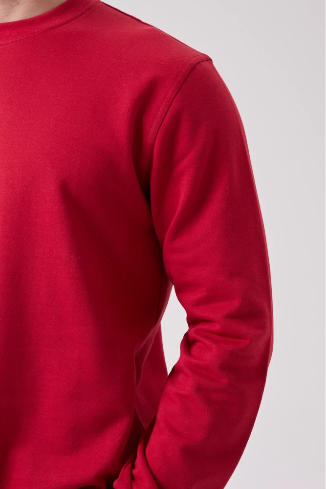 Galanthus Basic Sweatshirt - Uzun Kollu, Pamuklu, Rahat Kesim, Günlük ve İş Kullanımı İçin