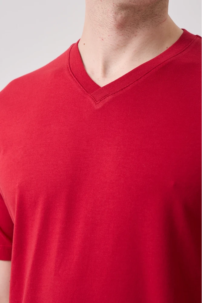 Galanthus V Neck T-Shirt - Breathable, Comfortable, and Stylish Design
