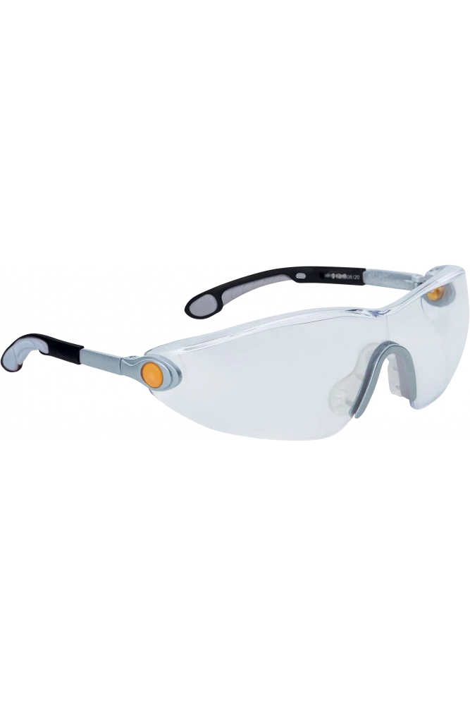 Glasses: Delta Plus Vulcano2 Plus STD