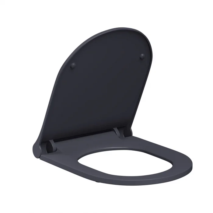 Lucco Brilla Asma Klozet Mat Antrasit Gri + Duroplast Kapak