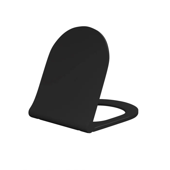 Lucco Brilla Asma Klozet Mat Siyah + Duroplast Kapak