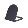 Lucco Brilla Asma Klozet Mat Antrasit Gri + Duroplast Kapak