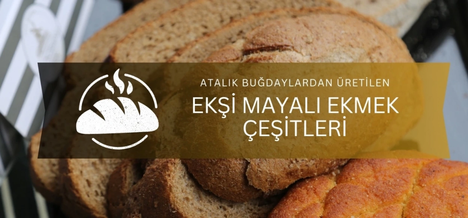 EKŞİ MAYA EKMEK ÇEŞİTLERİ
