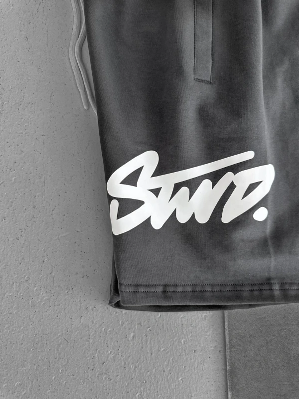 STW BÜYÜK LOGO ŞORT FÜME