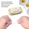 FLYFİX DAISY PAPATYA KOKULU ISLAK HAVLU 100 ADET X 12 PAKET